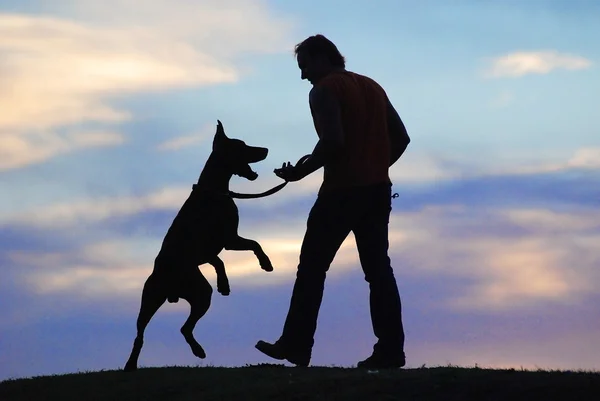 stock image Dog and man