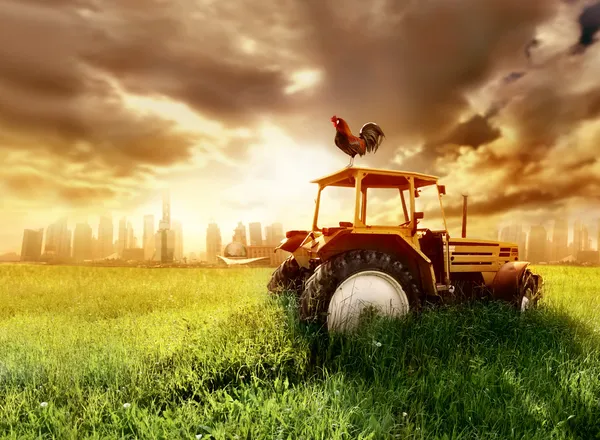 Zemědělství — Stock fotografie