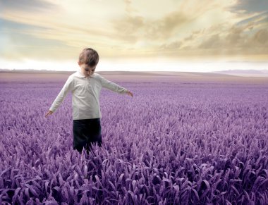 Lavender field clipart