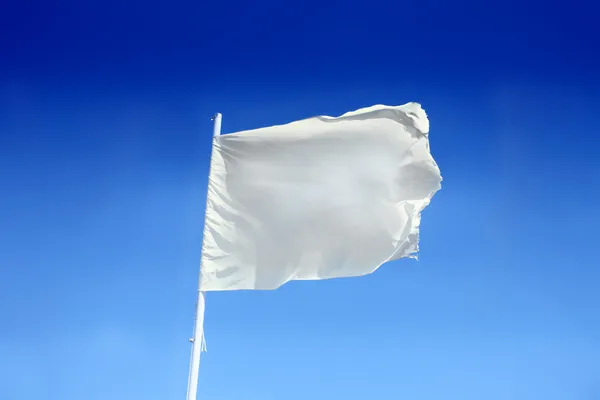 Hvidt flag - Stock-foto