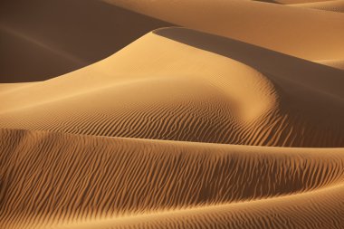 Sand dunes in evening sun clipart