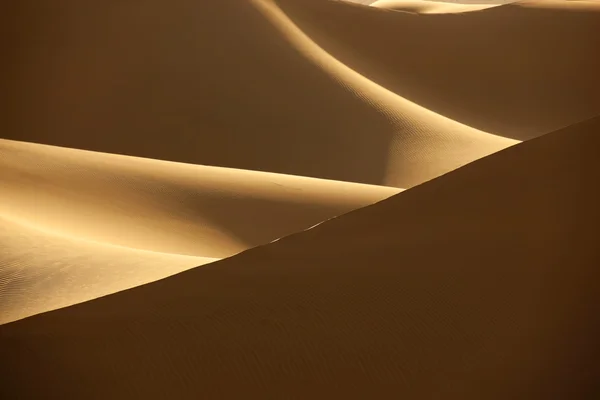Desert sand dunes — Stock Photo, Image