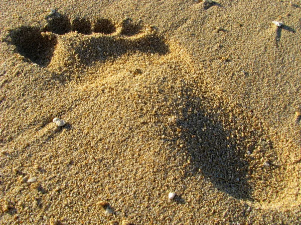 Kumda ayak izi — Stok fotoğraf