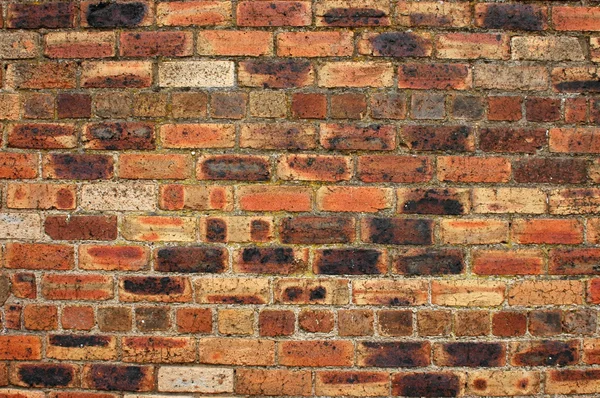 Abstrack Background of Red Brick Wall — Stock Photo, Image