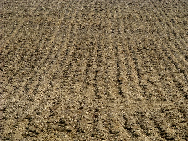 Background of a plowed field — Stock Photo, Image