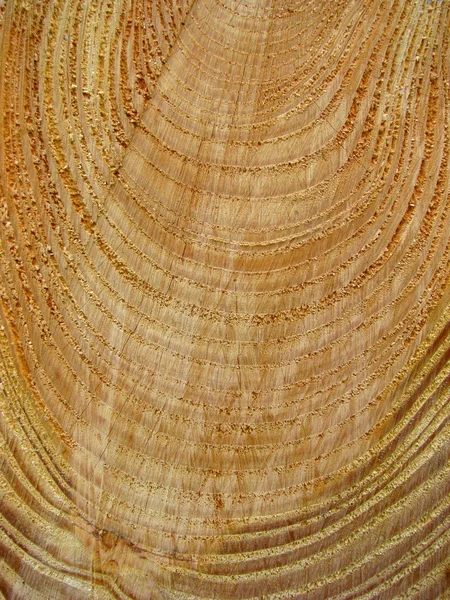 Abstrakter Hintergrund aus frisch geschnittenem Holz — Stockfoto