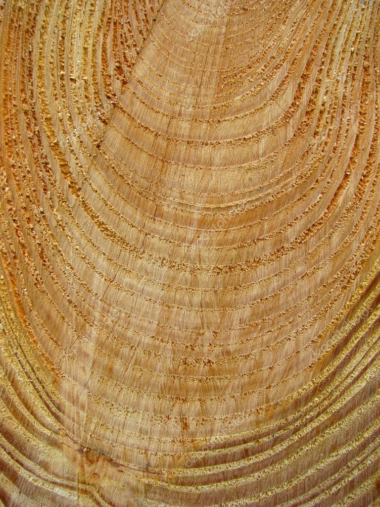 Abstract Background of Freshly Cut Wood — Stock Photo © mrdoomits 3301391
