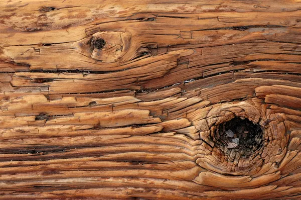 打结木材的背景 — 图库照片