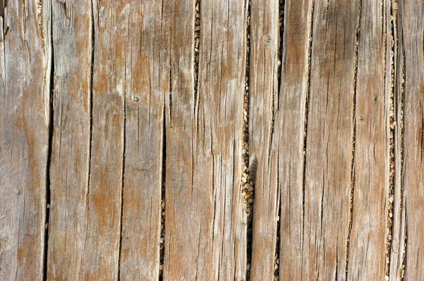 Textura de fundo de madeira Weathered — Fotografia de Stock