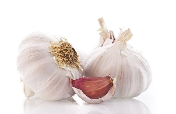 Garlic bulbs on white background — Stock Photo, Image