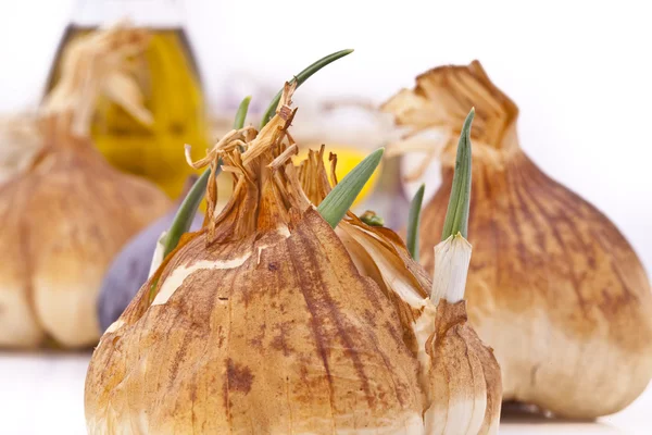Bulbs Bawang putih asap dengan tunas — Stok Foto