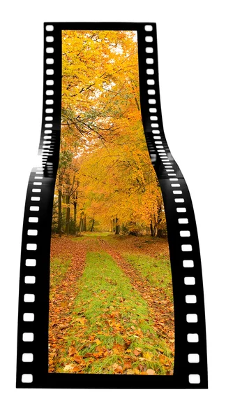 秋のフィルム ストリップ — ストック写真