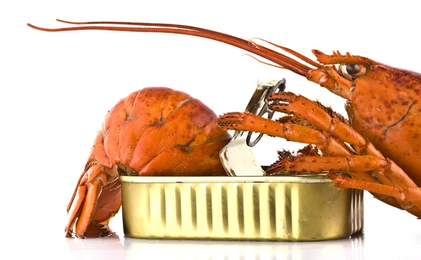 Konserwy homara na białym tle — Zdjęcie stockowe