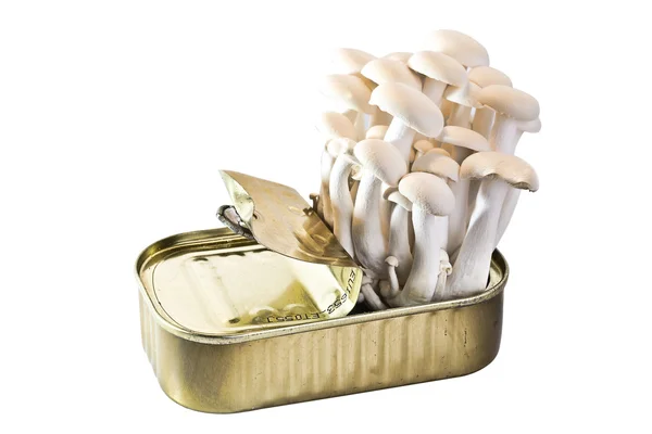 Stock image Tinned Mushrooms