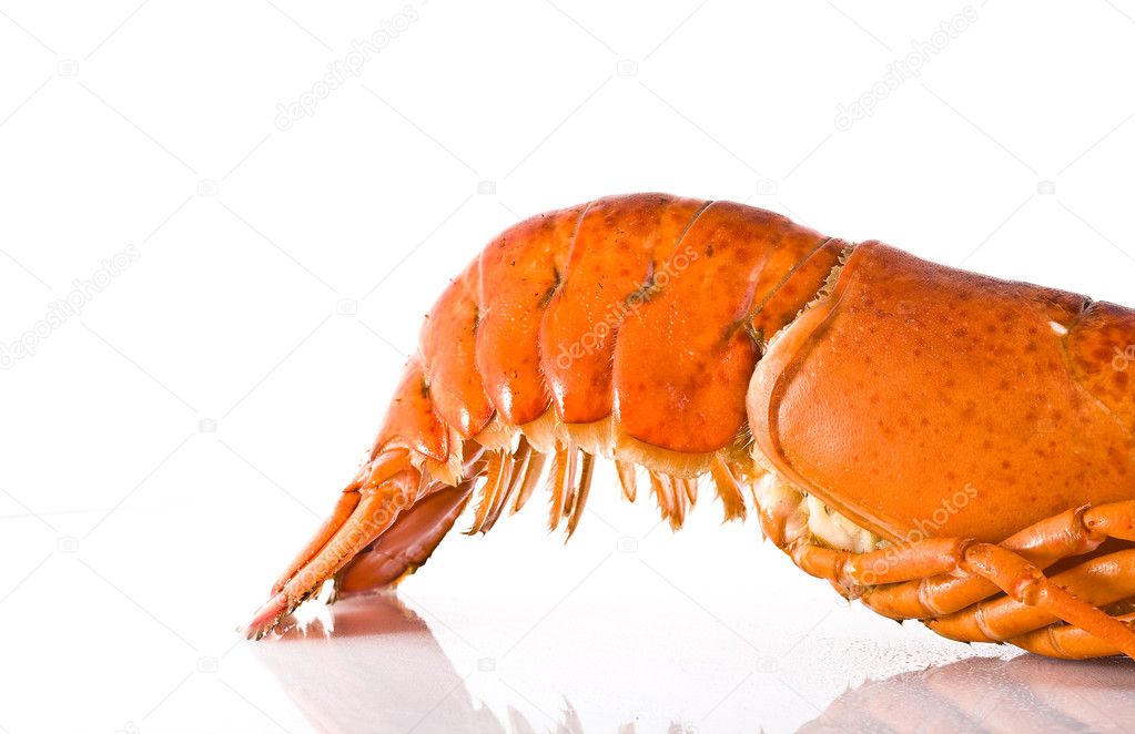 Cooked fresh lobster tail