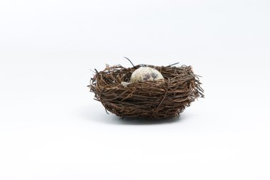 Egg in bird nest clipart