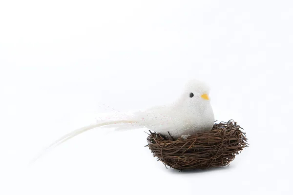 Pássaro branco no ninho — Fotografia de Stock
