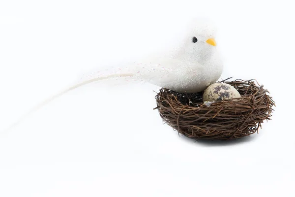 Λευκό πουλί είναι γεννητόρων Εικόνα Αρχείου