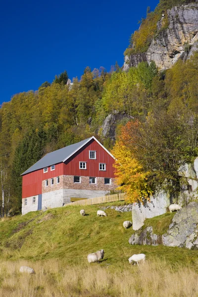 Norveç — Stok fotoğraf