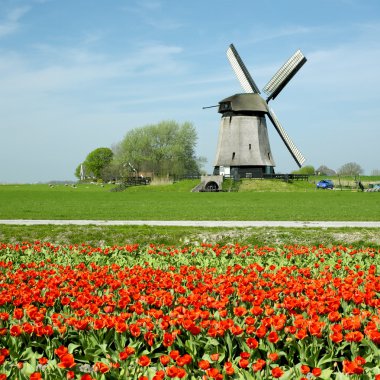 Windmill in Netherlands clipart