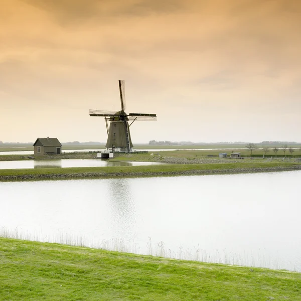 Moinho de vento em Países Baixos — Fotografia de Stock