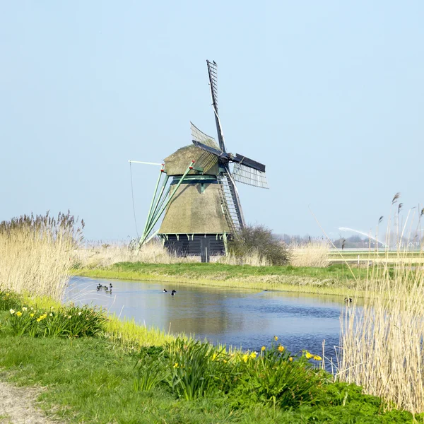 Windmill in Netherlands — Stock Photo, Image