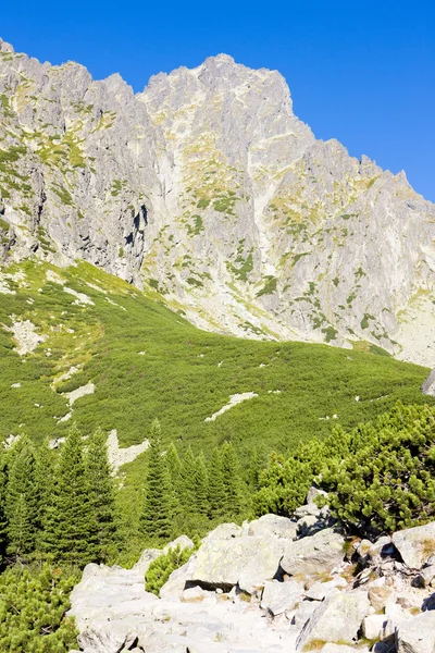 Tatras altos —  Fotos de Stock