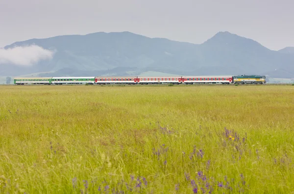 stock image Train