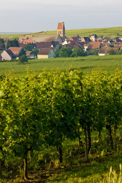 Alsace Ordförande — Stockfoto
