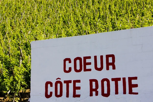 Cote Rotie — Stock Photo, Image
