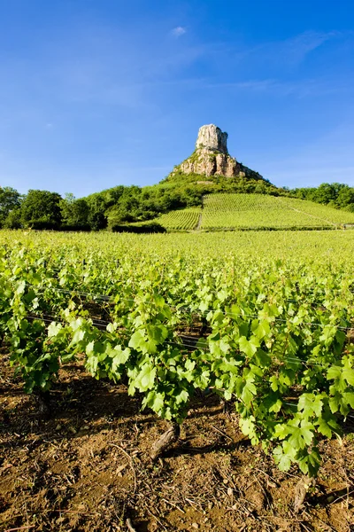 Borgoña — Foto de Stock