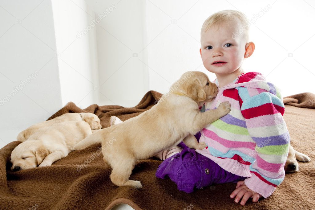 Toddler with puppies