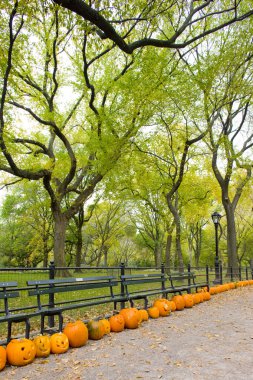 Central Park clipart