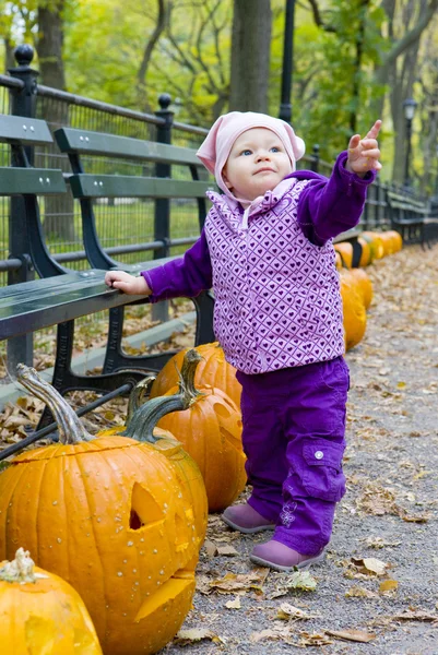 Toddler with pumpkins — Stock Photo, Image