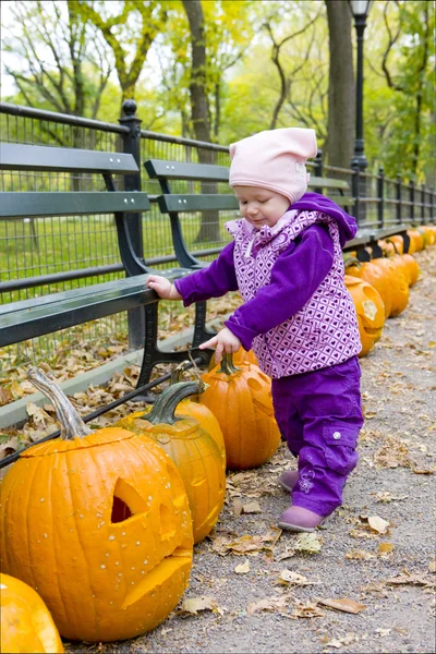 Toddler with pumpkins — Stock Photo, Image