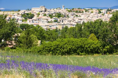 Valensole