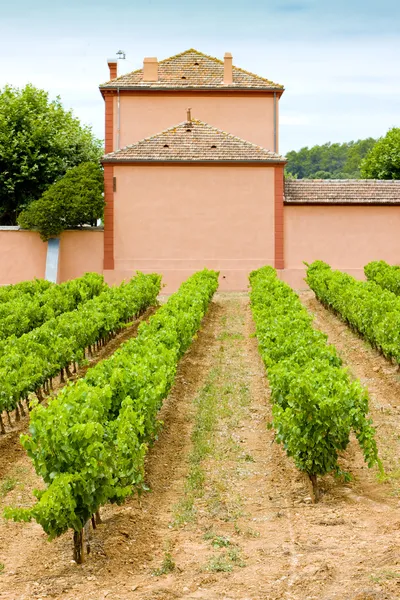 Weingut in der Provence — Stockfoto