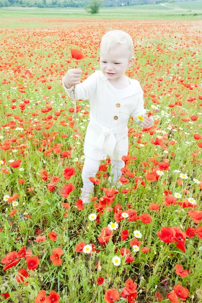 Little girl on meadow — Stock Photo, Image