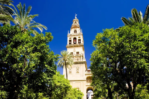 Córdoba —  Fotos de Stock