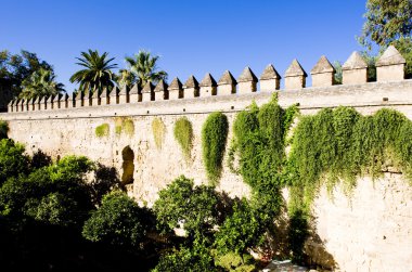 Alcazar Cordoba