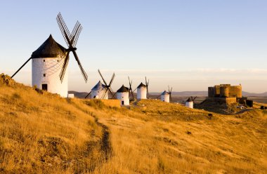 Consuegra