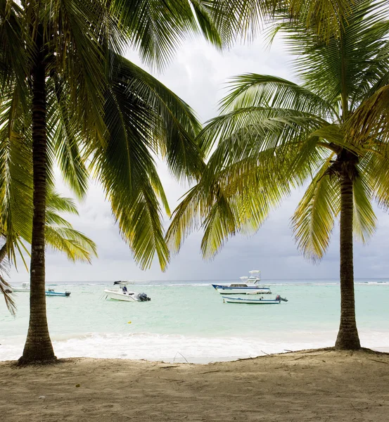 Барбадос — стокове фото