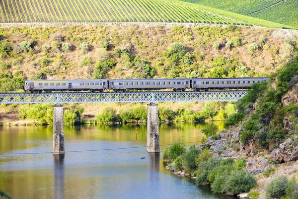 Trainen op spoorwegviaduct — Stockfoto