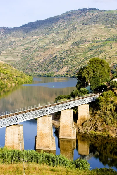 Viaduct feroviar — Fotografie, imagine de stoc
