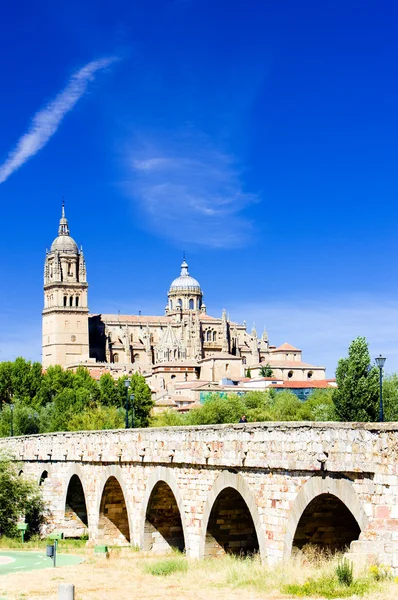 Salamanca — Stockfoto
