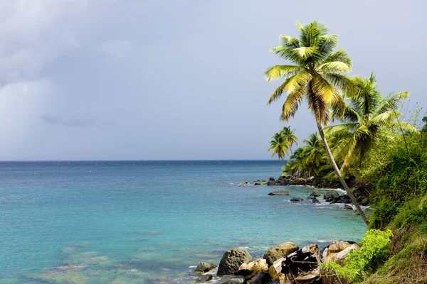 Grenada — Stock Photo, Image