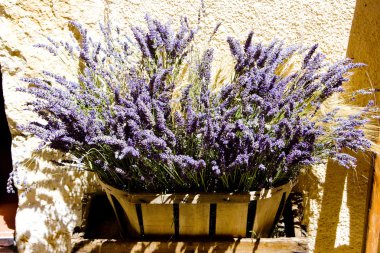 Bunch of lavenders clipart