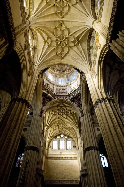 Katedralen i salamanca — Stockfoto