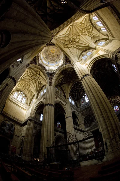 Catedral em Salamanca — Fotografia de Stock