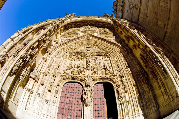 Catedral em Salamanca — Fotografia de Stock